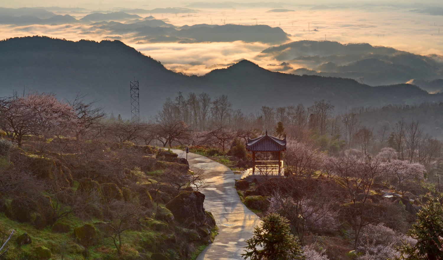 雾山仙境